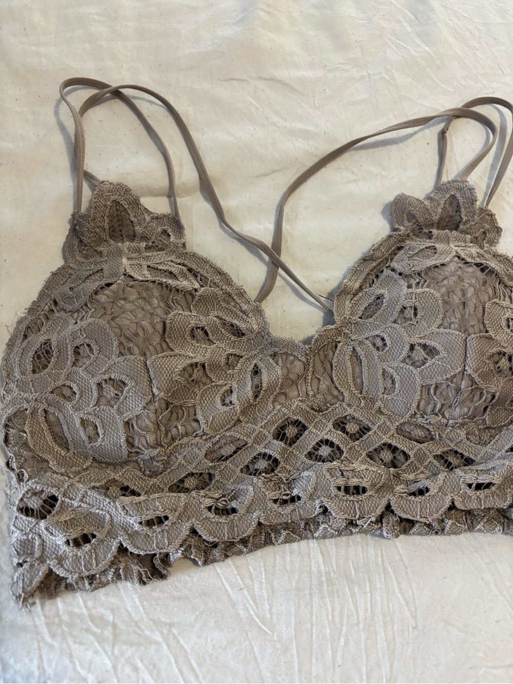 Wishlist Lace Bralette in Taupe Brown - Picture 2 of 5